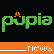 Youtube Pupia News